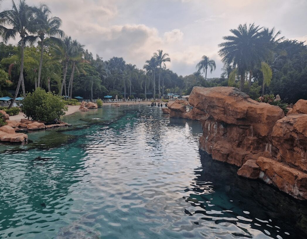 Orlando-family-attractions-Discovery-Cove