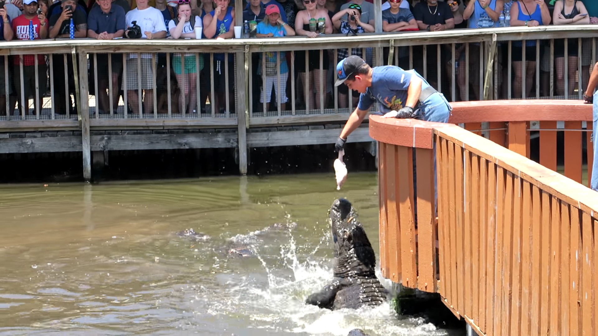 Affordable and Accessible - Gatorland in Orlando