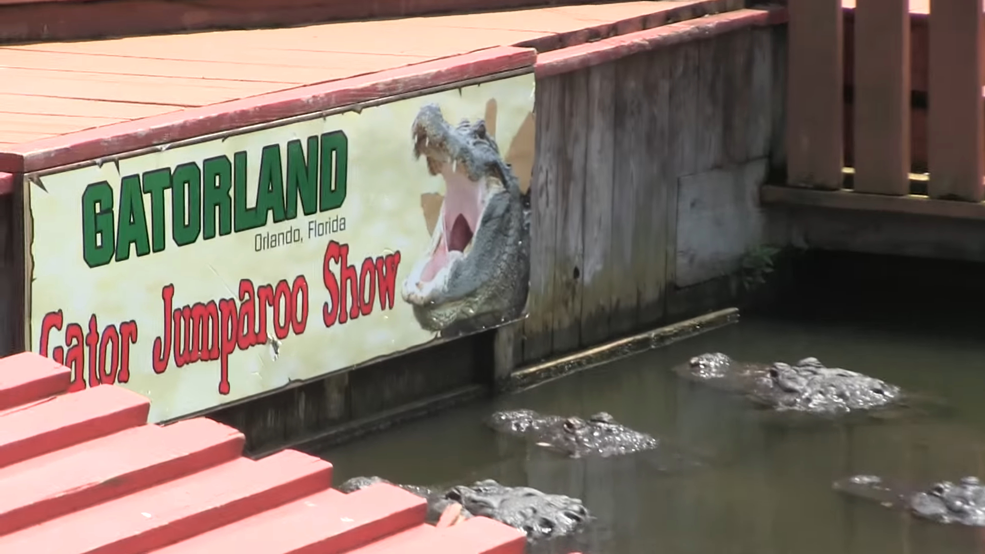 Jumparoo show at the Alligator Capital of the World
