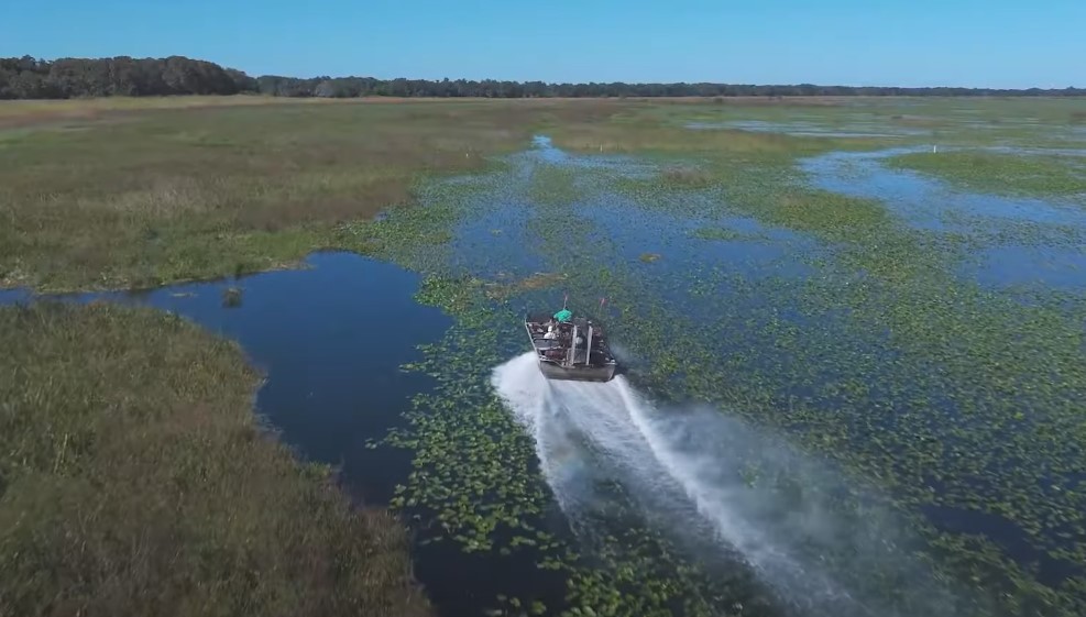 A boat navigates the tranquil waters of a vast wetland