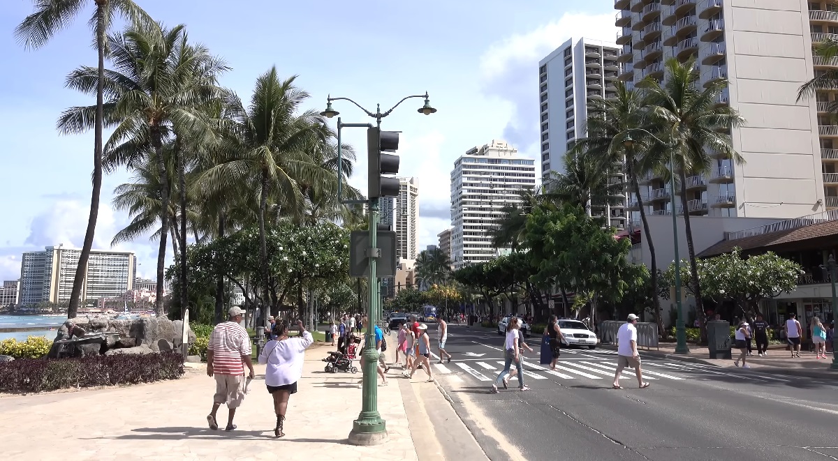 Honolulu palm-lined streets