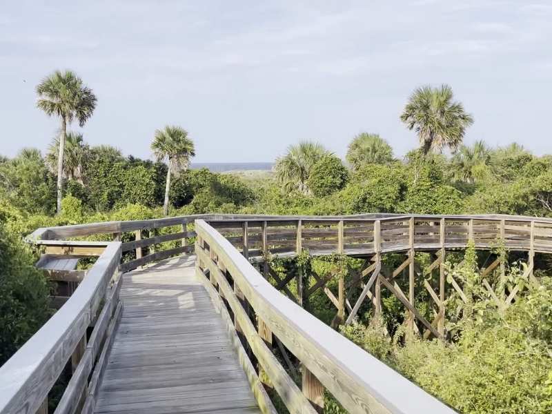 Nature boardwalk